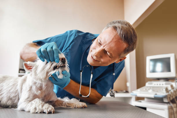 Best Tooth Infection Emergency Dentist  in Cuthbert, GA